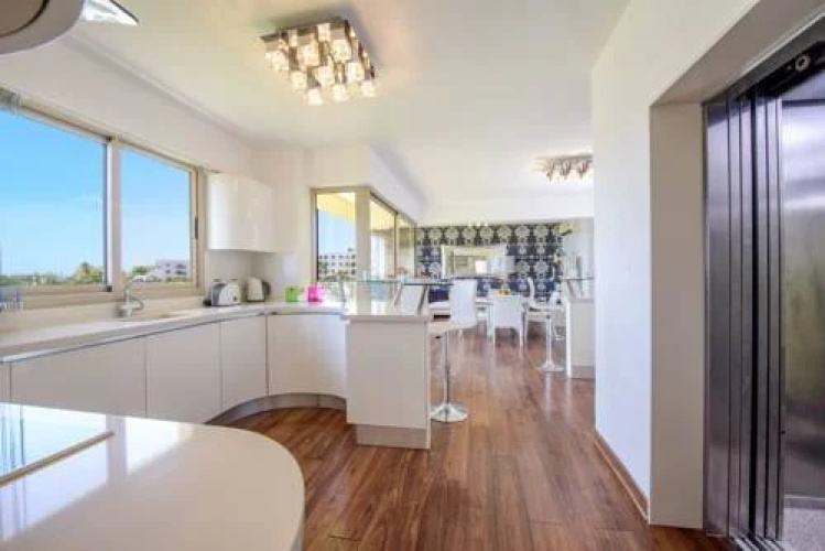 Panorama Penthouse