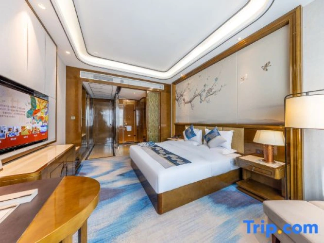 Business Double room with city view