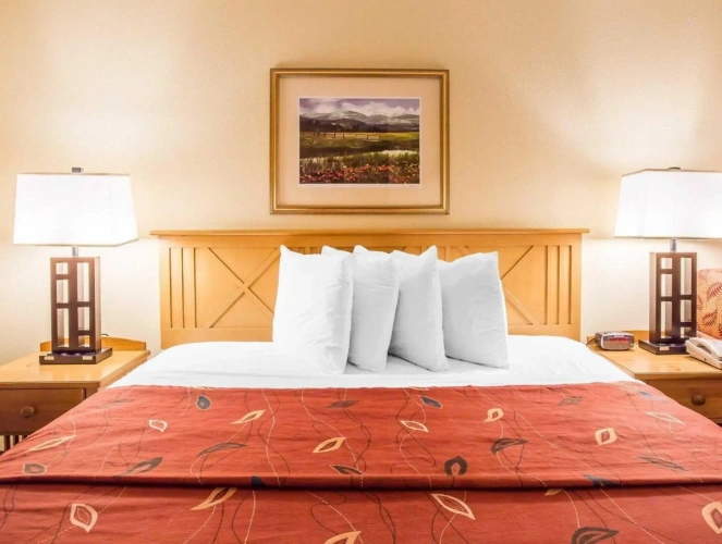Standard Double room with river view