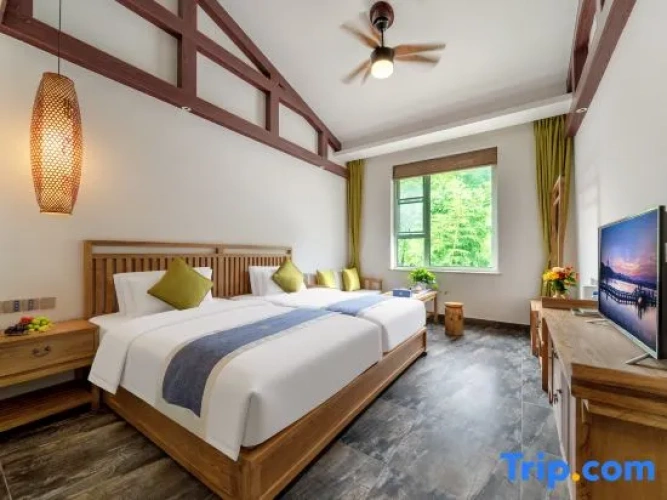 Deluxe Twin room with view