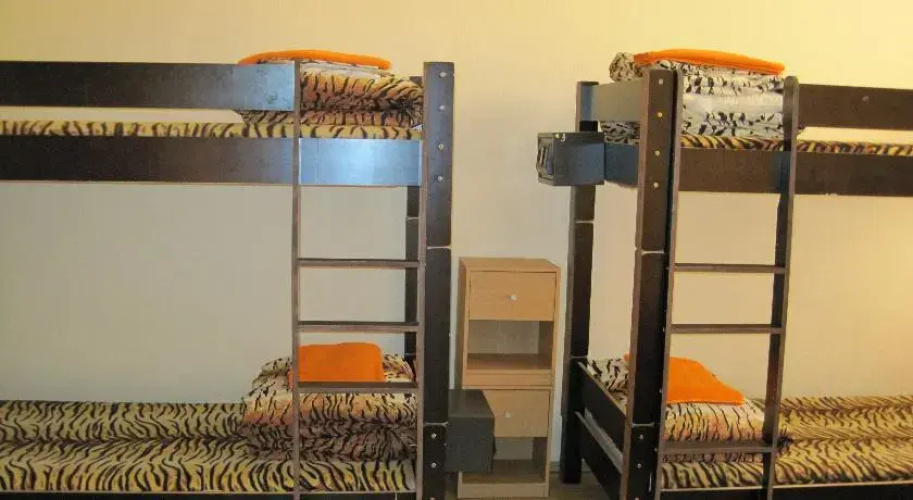 Tiger Hostel