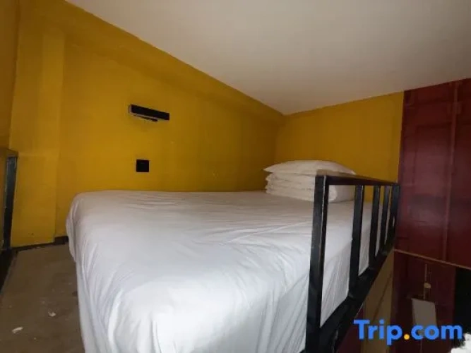Single Apartment