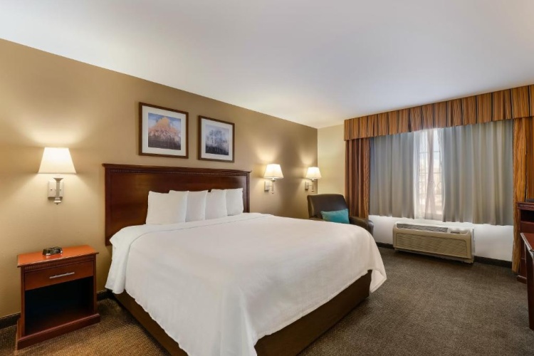 1 Bedroom Suite
