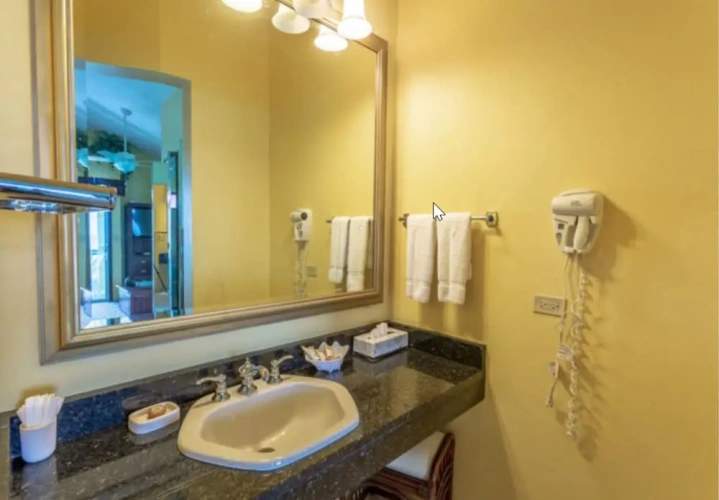 Deluxe Double Suite