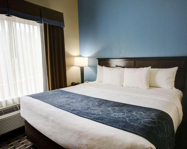 Comfort Suites Georgetown