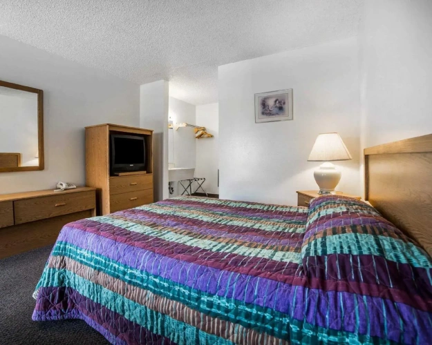 1 Bedroom Standard Double room