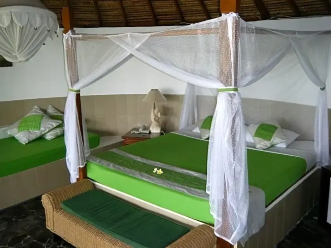 1 Bedroom Suite with view