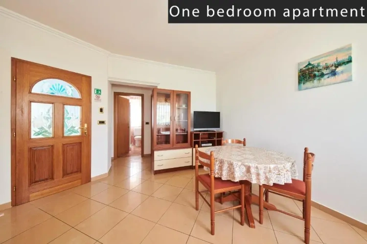 1 Bedroom Apartment with view