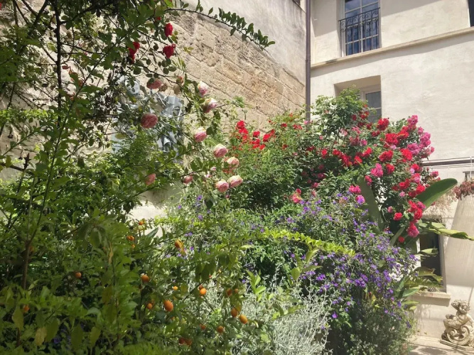 Cloître Des Augustins Spa & Fitness - Avignon