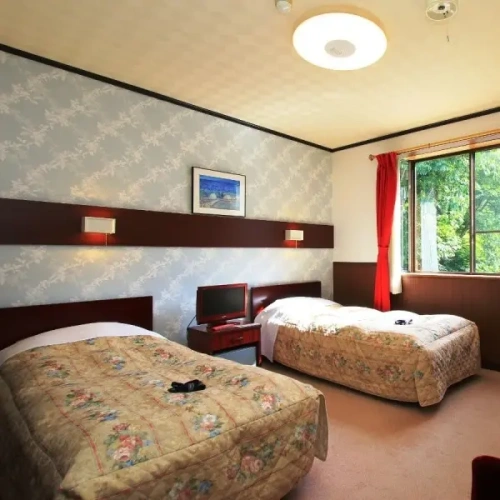 Standard Twin room with mountain view
