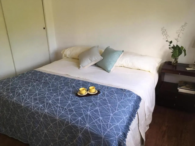 Tigre Apartment