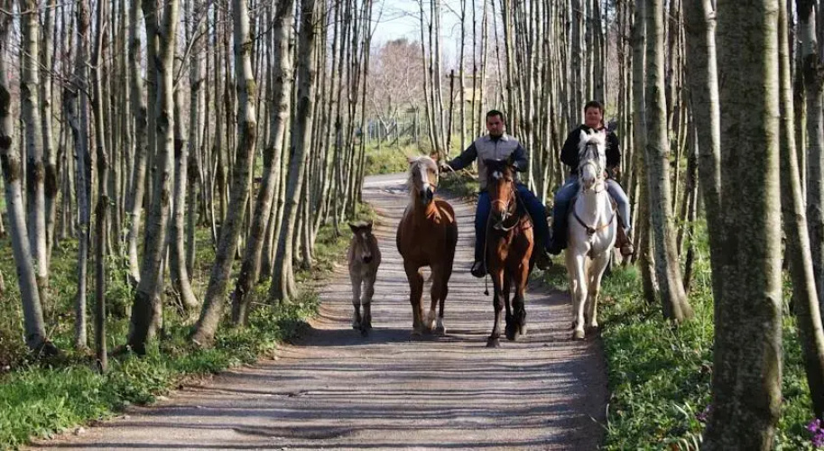 Agriturismo Sentiero Dei Sapori