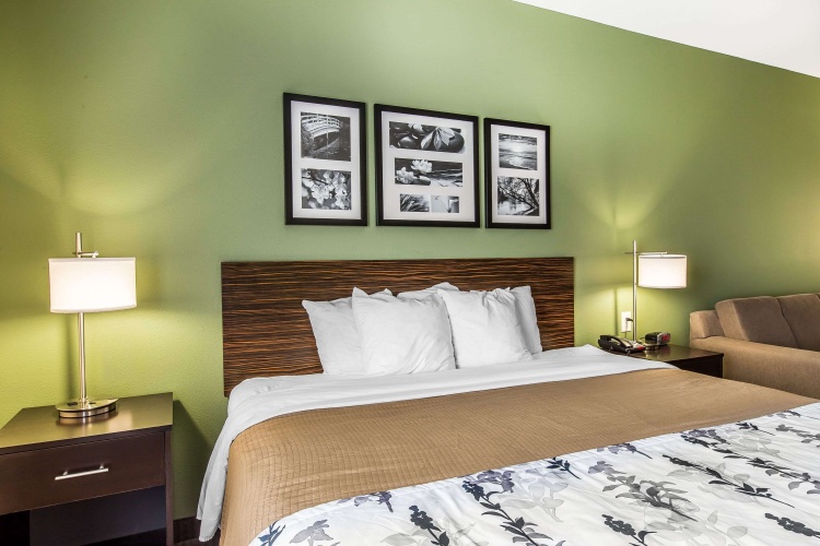 1 Bedroom Double Suite