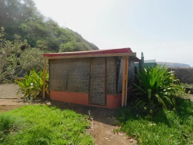 Bungalow with garden view