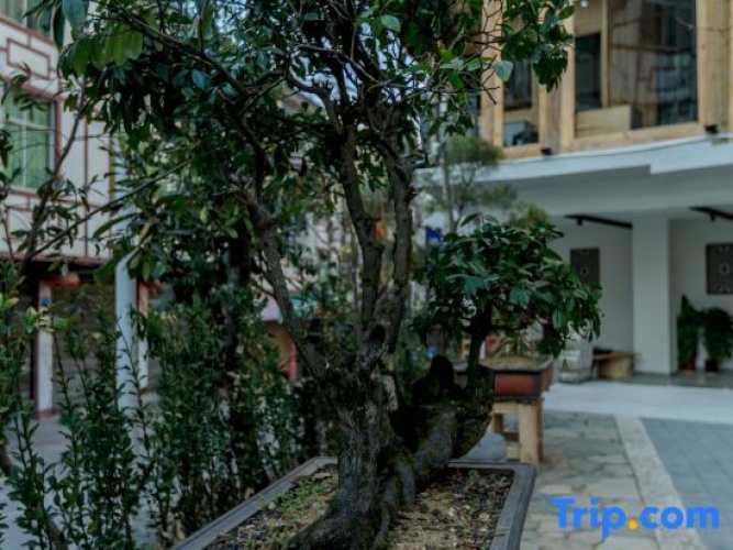 Zuiyuelou Guesthouse