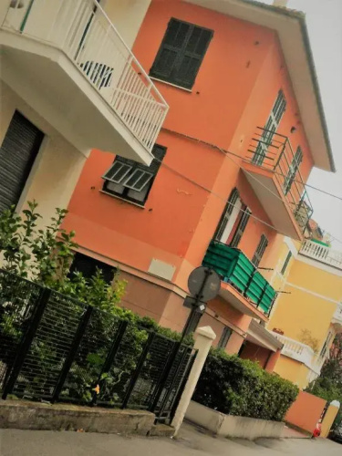 rubino home