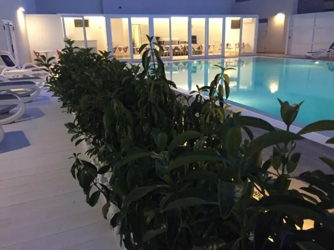 Hotel Miramare