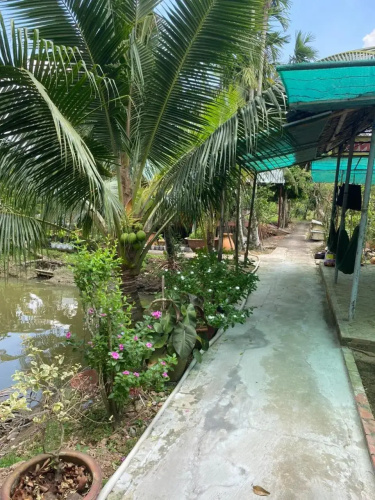 Ba Hung Homestay