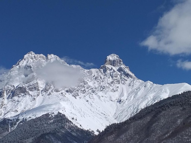 Standard Double room with mountain view