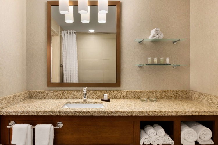 Embassy Suites by Hilton Denver Downtown Convention Center photo 12