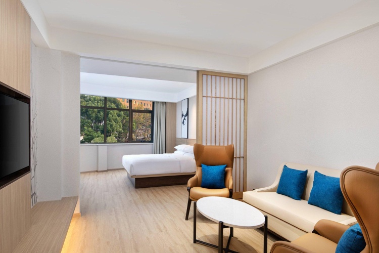 Deluxe Double Suite with city view