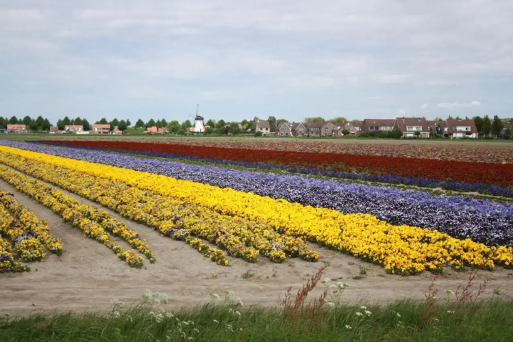 B&B De Nieuwe Stal