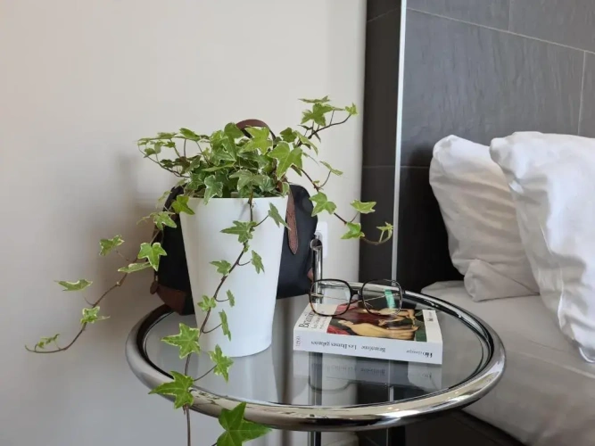 Double room with street view