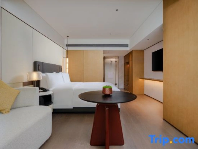 Premium Suite with city view