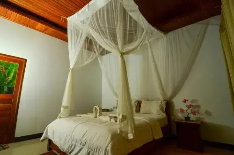 Bintang House