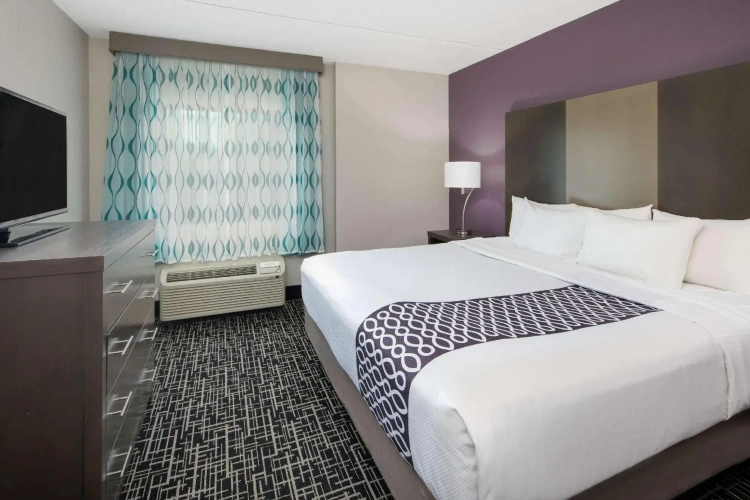 1 Bedroom Double Suite
