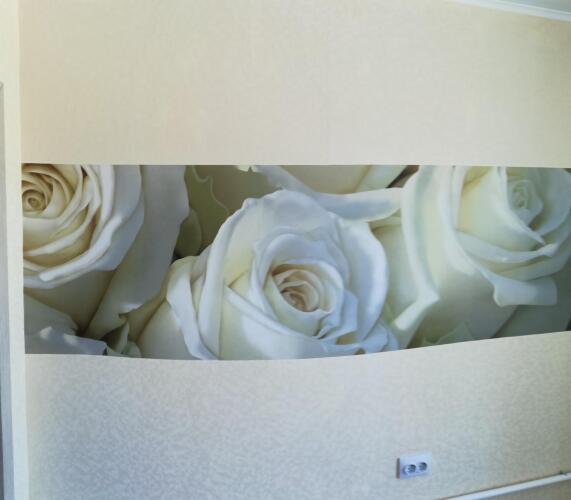 Фотография номера квартиры Апартаменты Новоегорьевский тракт