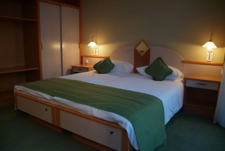 Standard Twin room with lake view