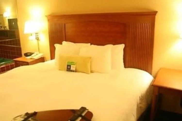 Single Suite