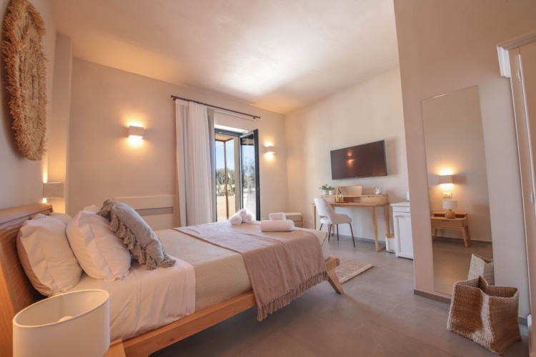 Standard Double room with balcony and with garden view