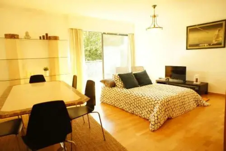 Modern Apartment near the Bridge