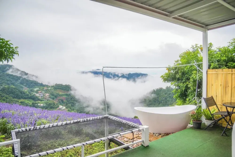 The View Homestay Monjam