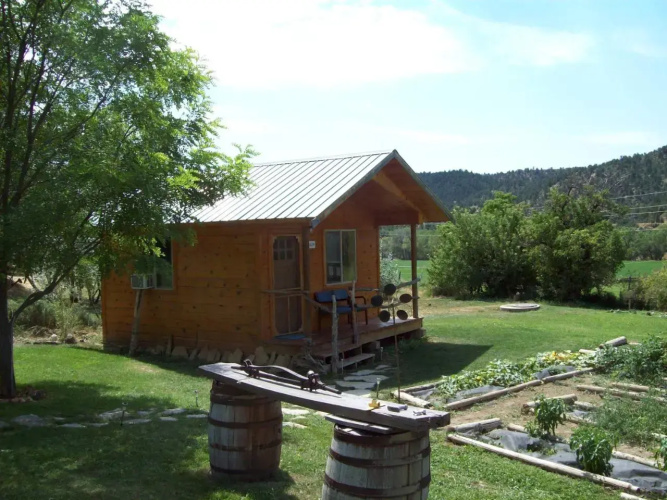 Buffalo Bungalow