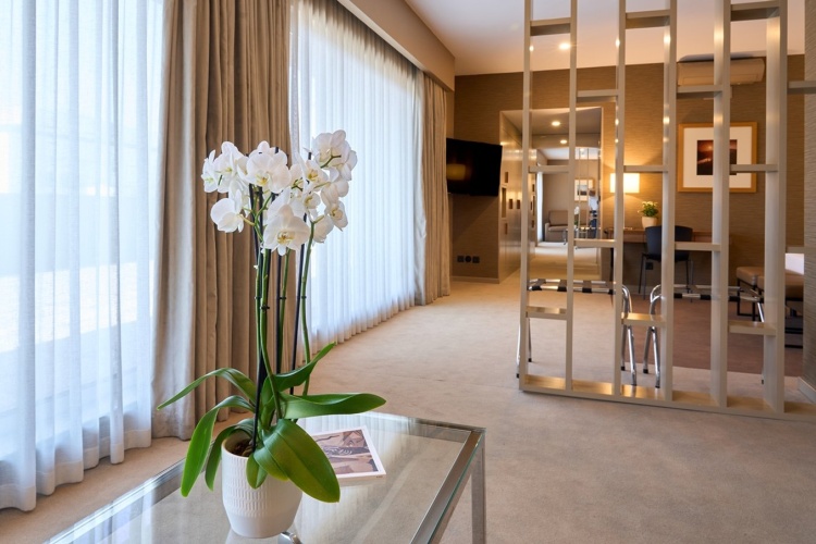 Portus Cale Hotel photo 16