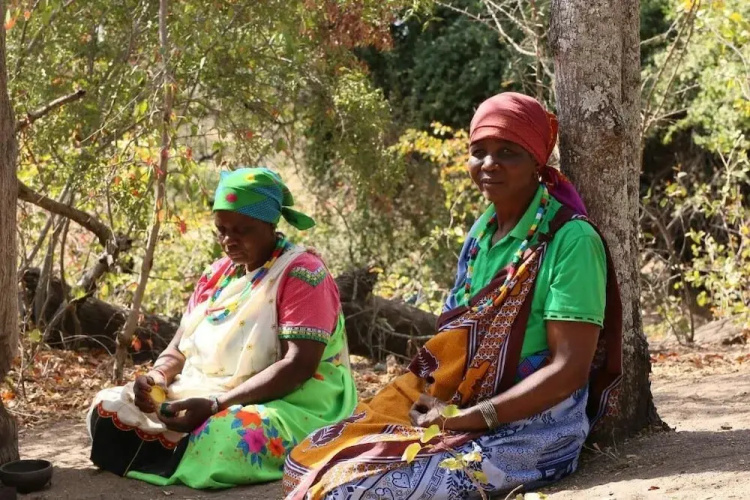 Baleni Cultural Camp