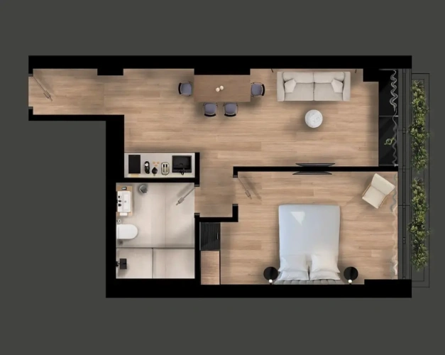 1 Bedroom Suite