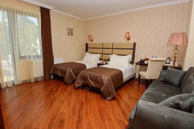 Comfort Twin room with balcony and with mountain view