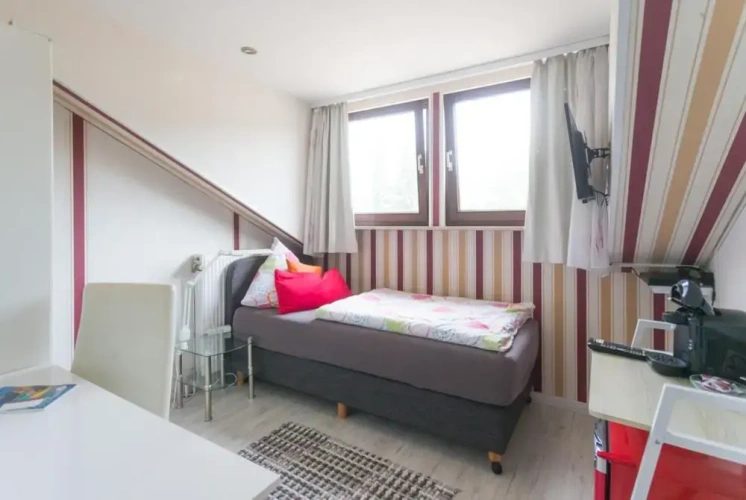 Standard Single room with view