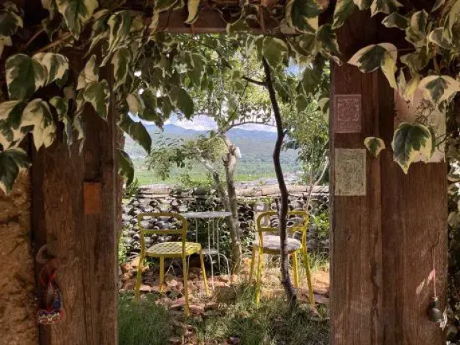 Up Air Guest house