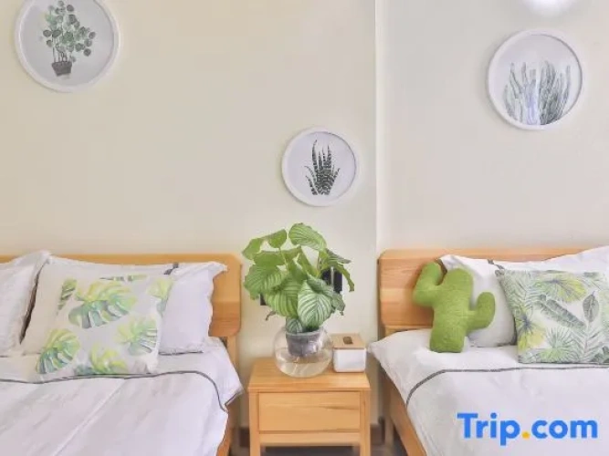 Standard Twin Family room