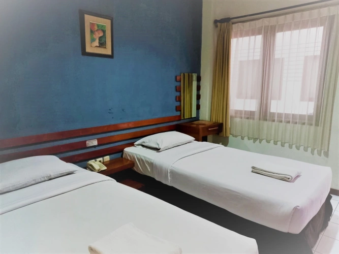 Superior Twin room