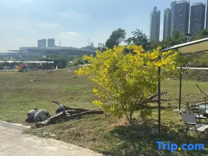 Park Nature Hillside