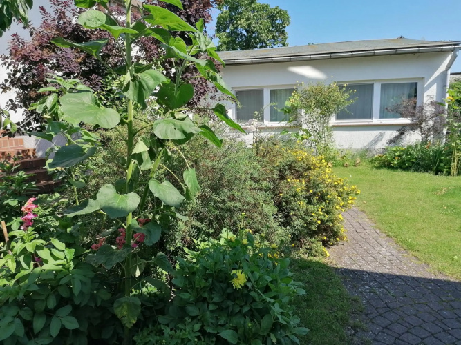 Pension Haus Anneliese