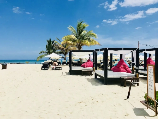 1 Bedroom Standard room with ocean view