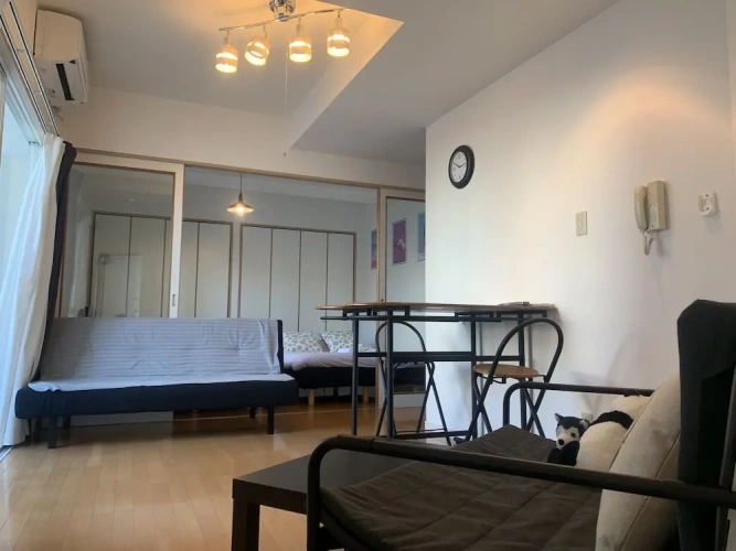 1 Bedroom Apartment