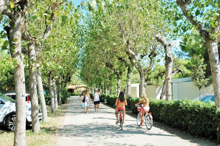Club Del Sole La Risacca Family Camping Village photo 37